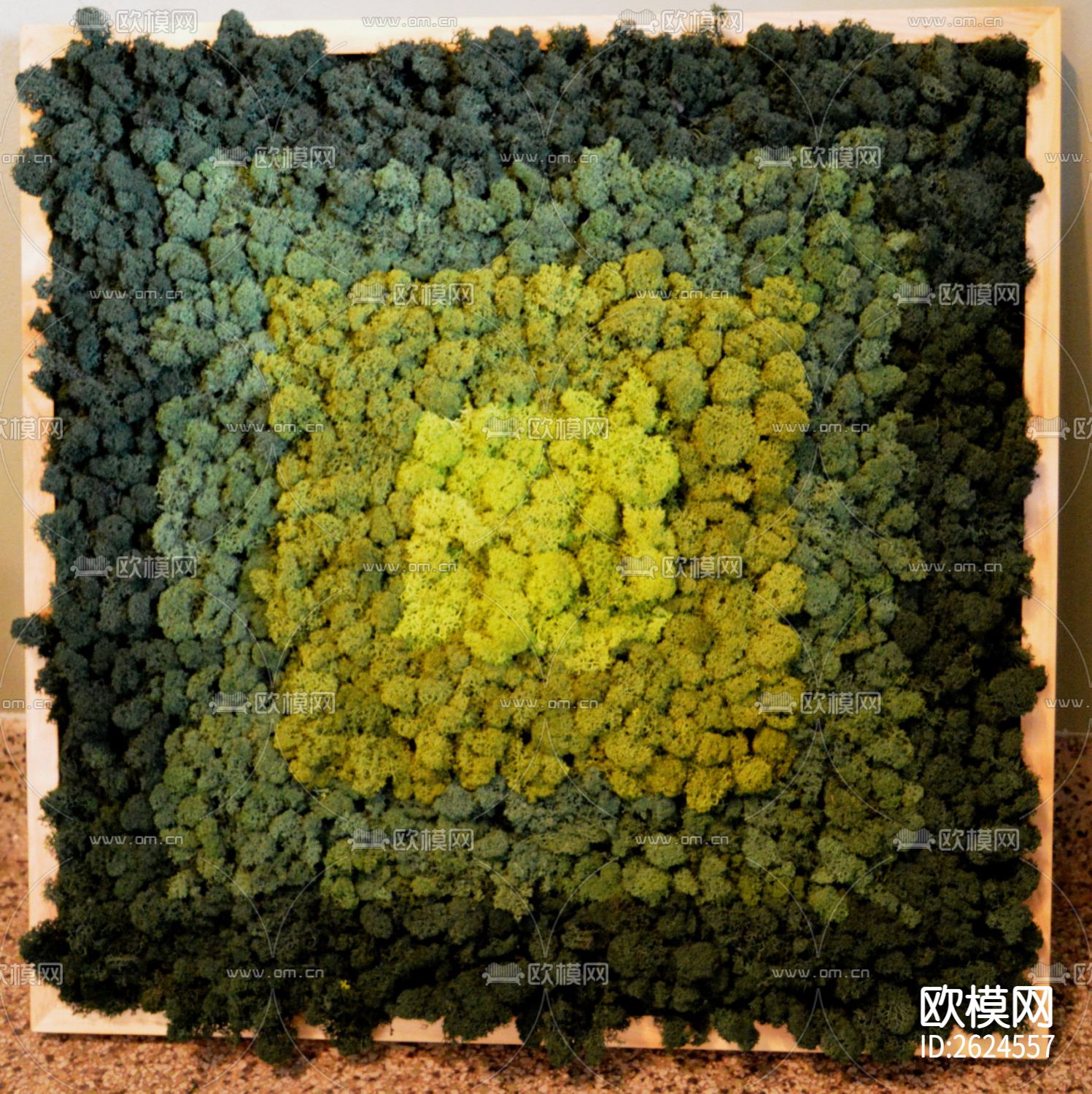 苔藓群 植物墙贴图下载