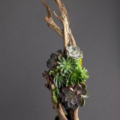  植物墙贴图 