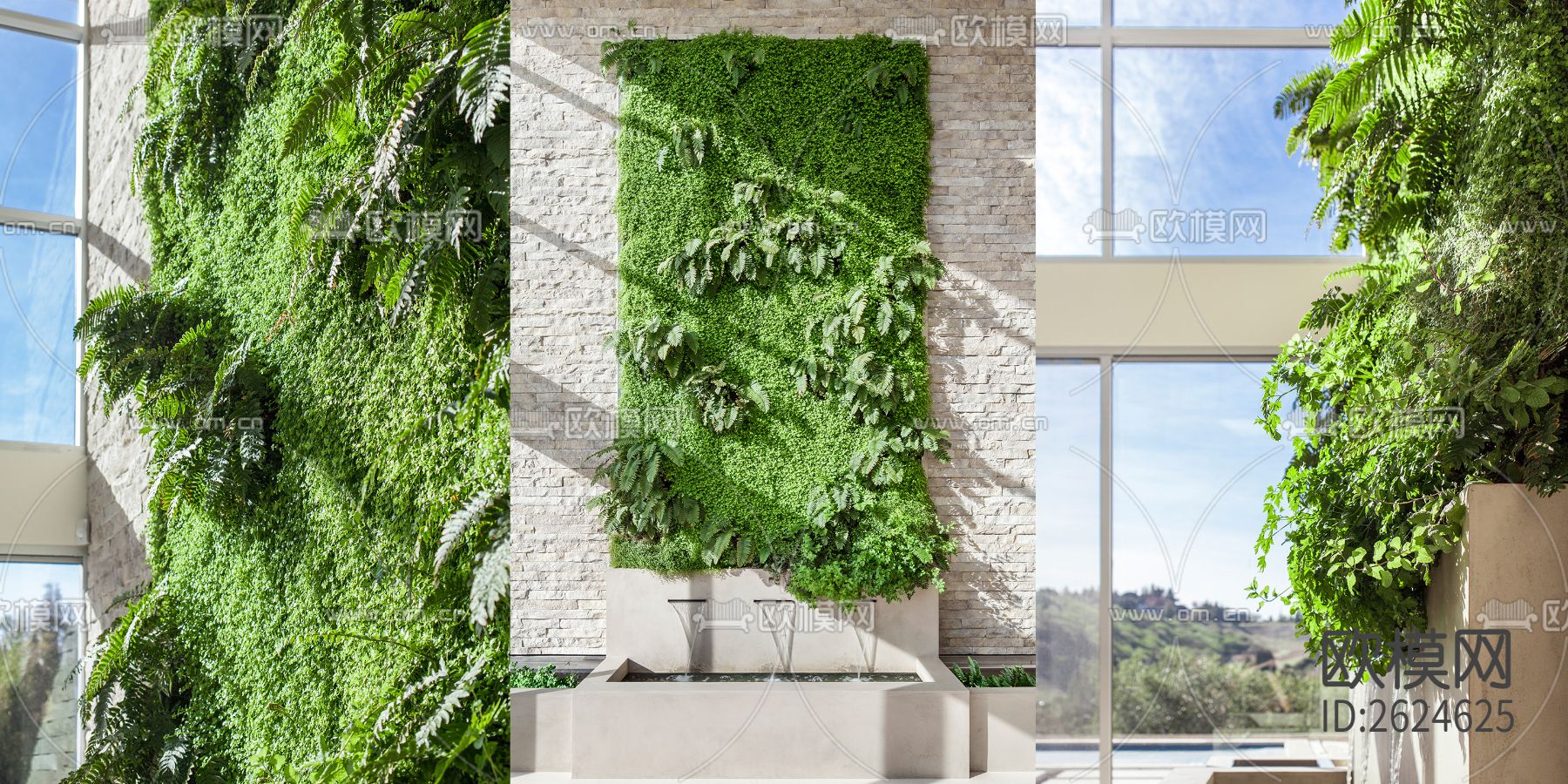 植物墙贴图下载