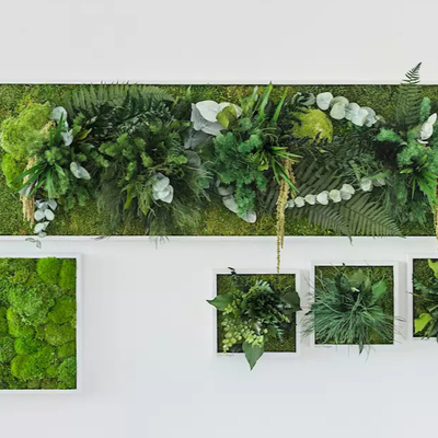  植物墙贴图 