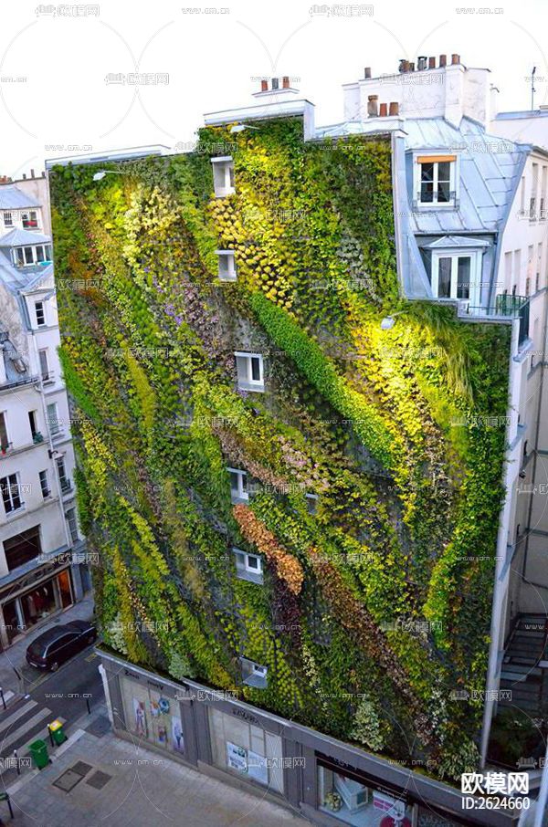 植物墙贴图下载