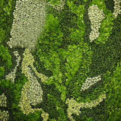  植物墙贴图 
