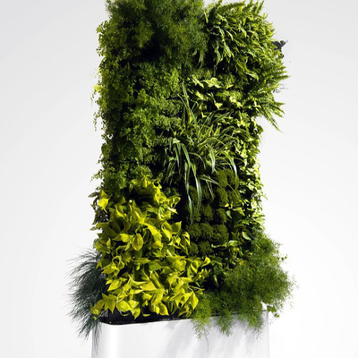  植物墙贴图 