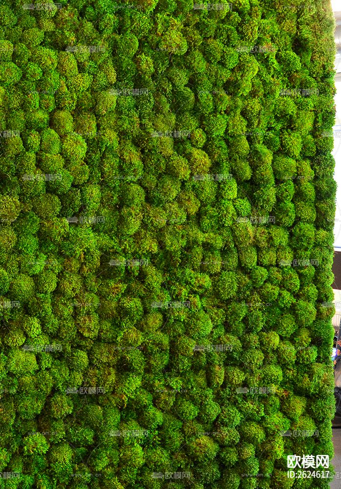 植物墙贴图下载