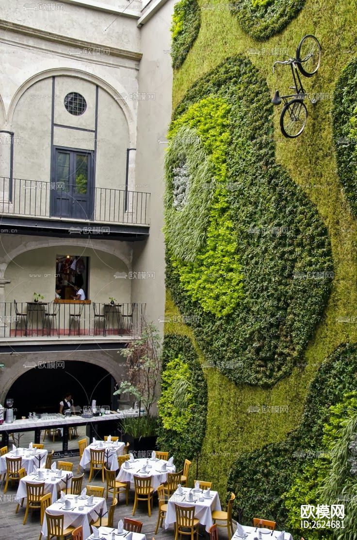 植物墙贴图下载