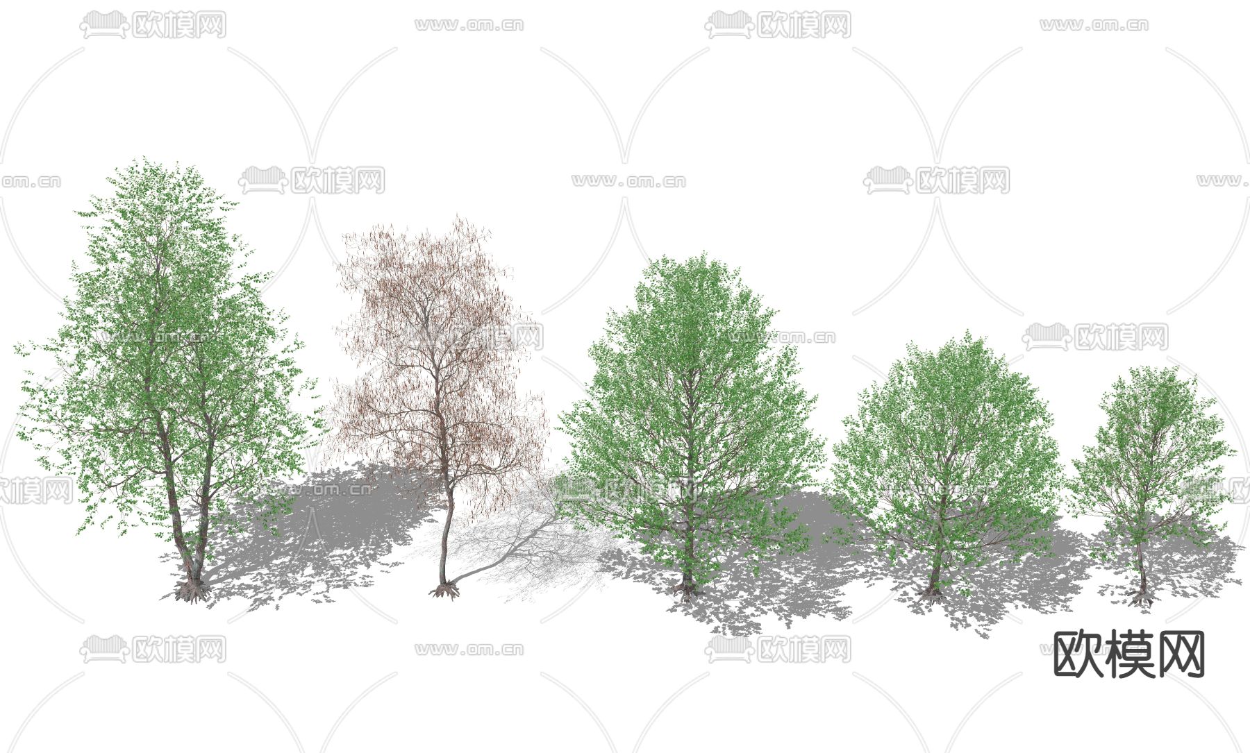 乔木 景观树su模型下载（渲染图2）