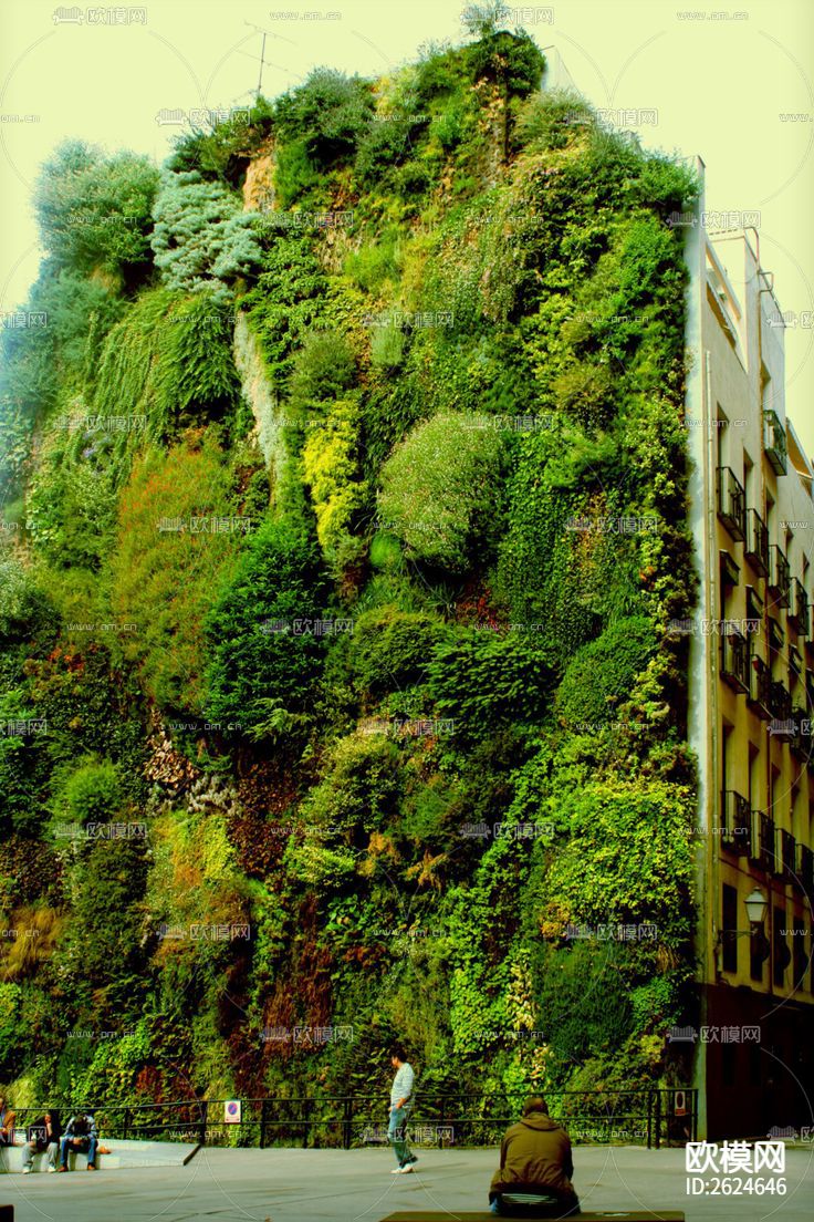 植物墙贴图下载