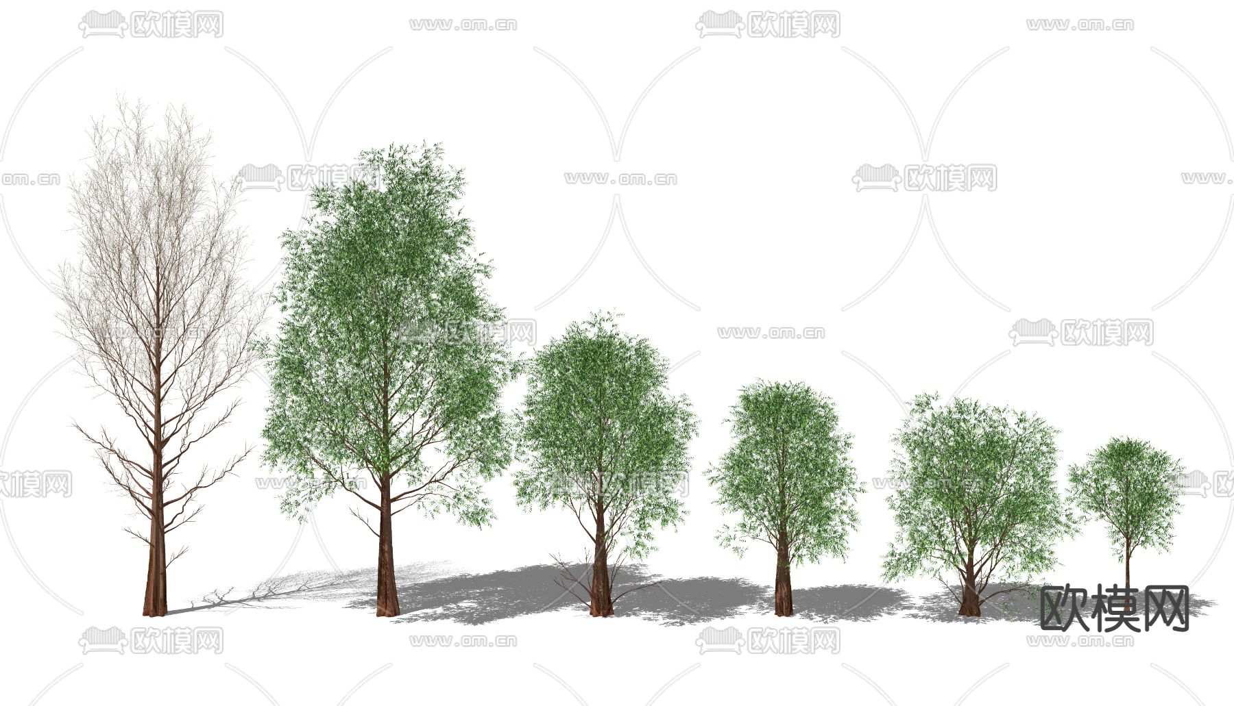 现代景观树su模型下载（渲染图2）