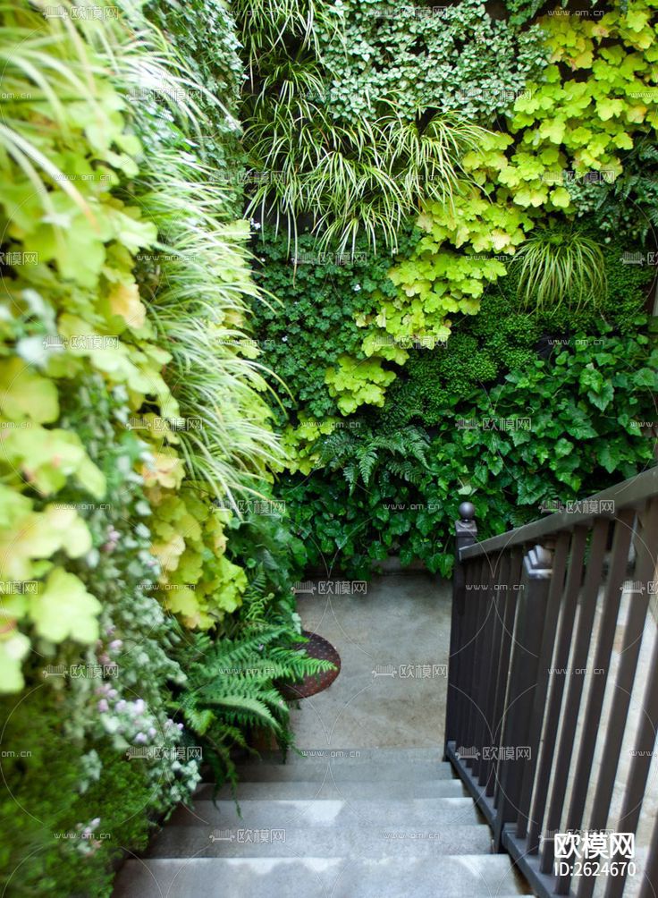 植物墙贴图下载
