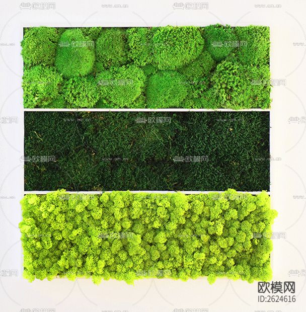 植物墙贴图下载