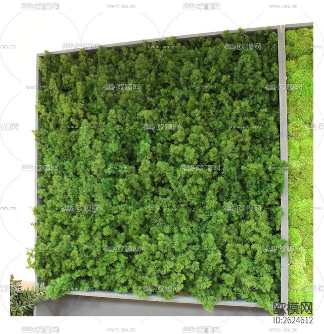 植物墙贴图下载