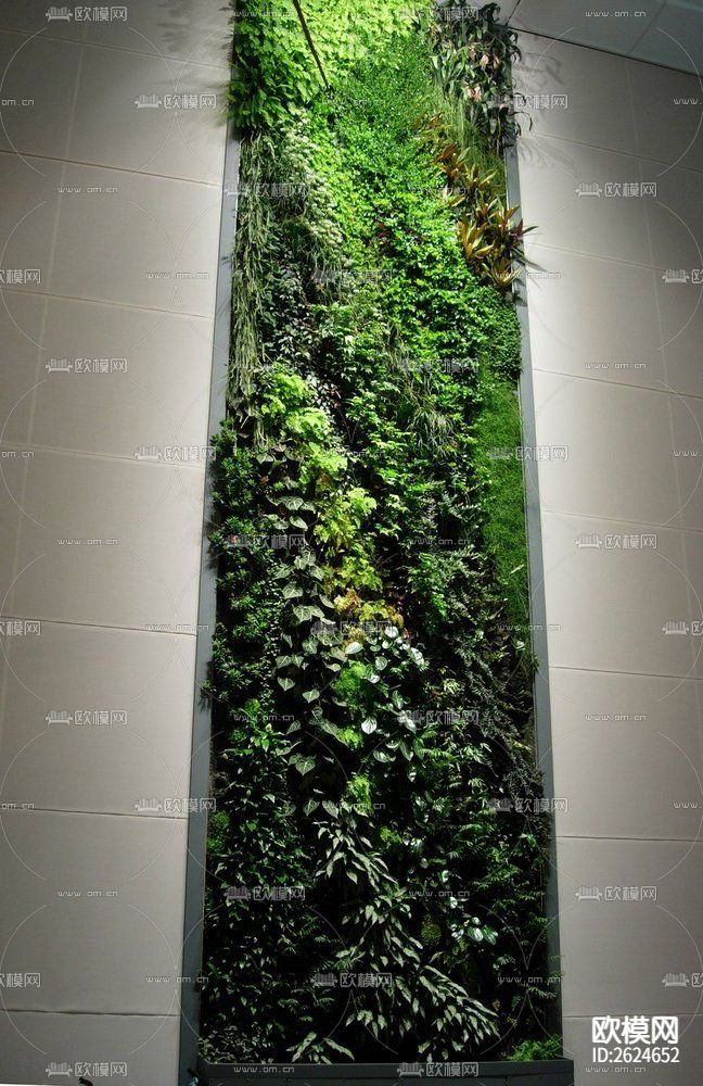 植物墙贴图下载