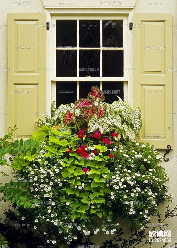 植物墙贴图下载