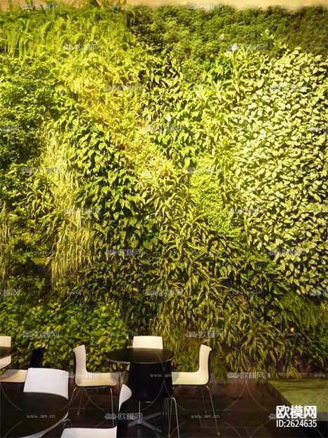 植物墙贴图下载
