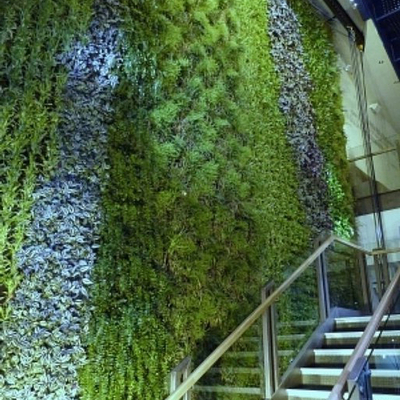  植物墙贴图 