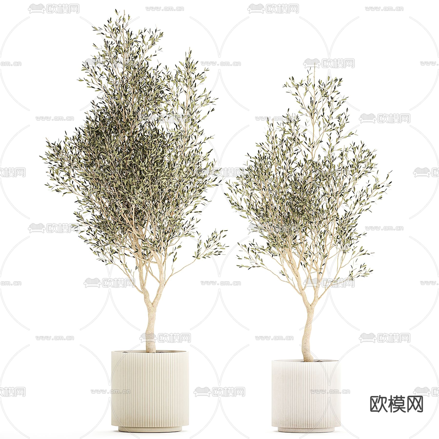 盆栽 盆景3d模型下载