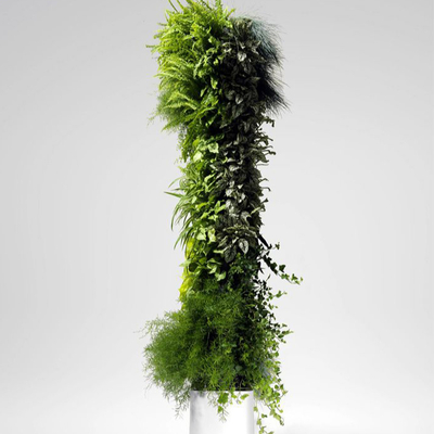 植物墙贴图 