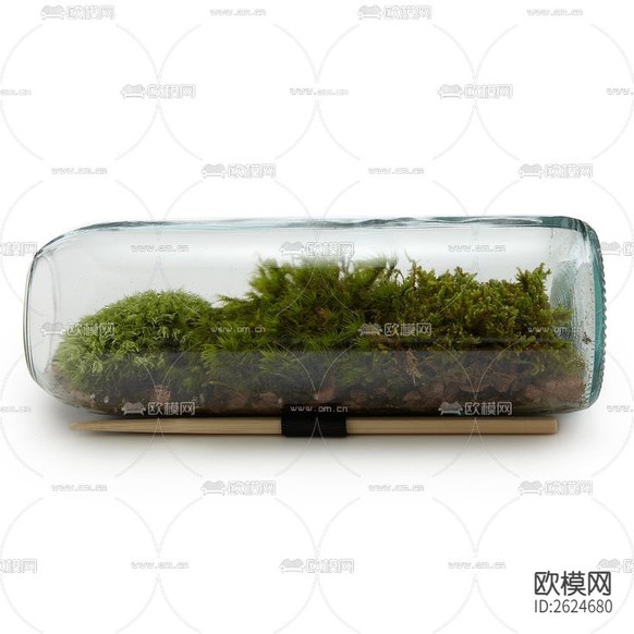 植物墙贴图下载