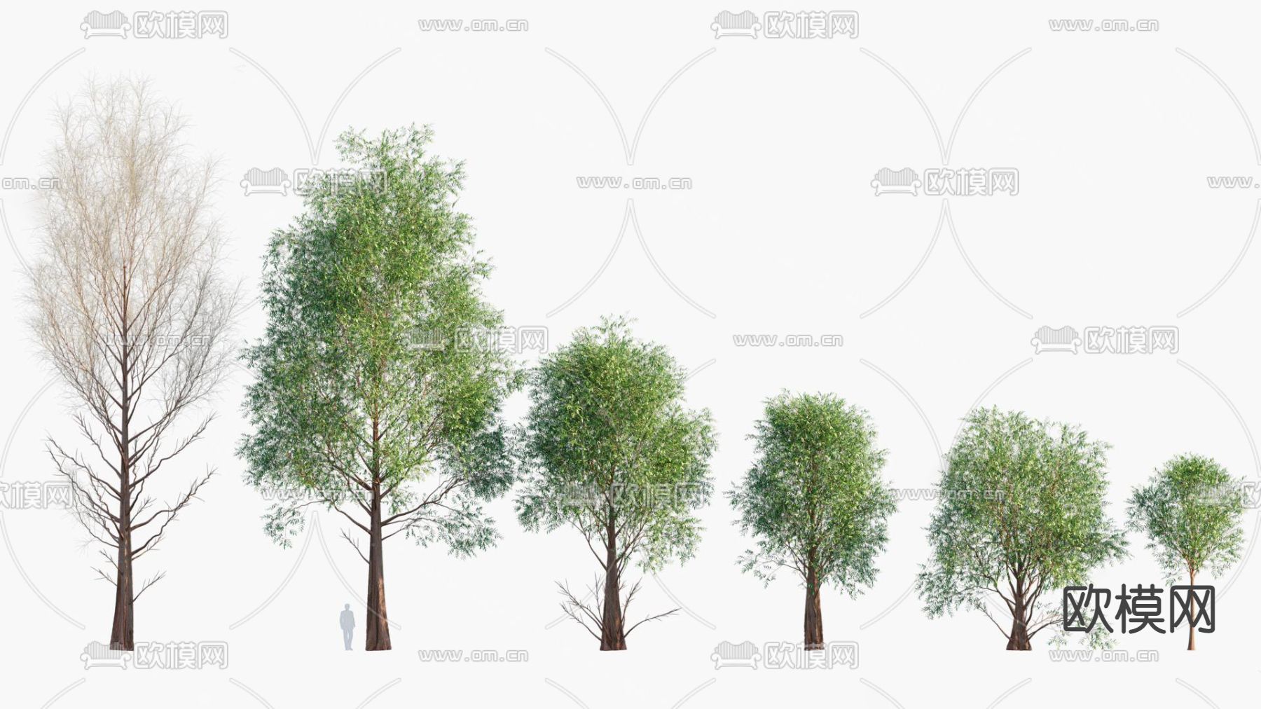 现代景观树su模型下载（渲染图1）