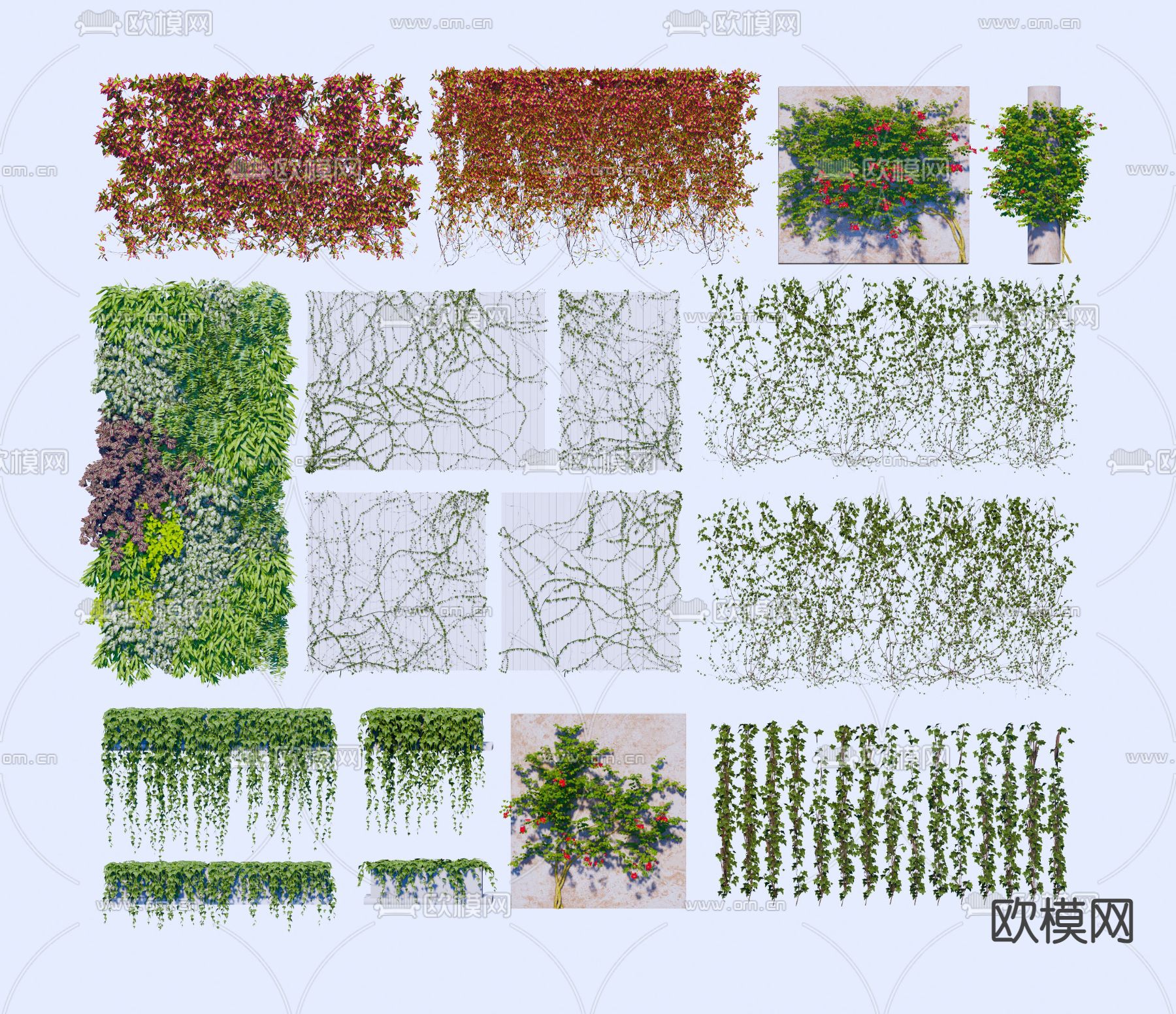 爬山虎 爬藤 藤蔓su模型下载（渲染图1）