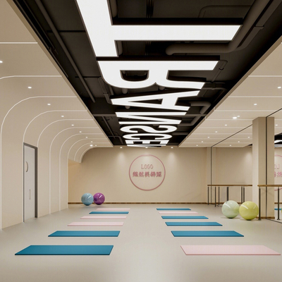  现代舞蹈室su模型 