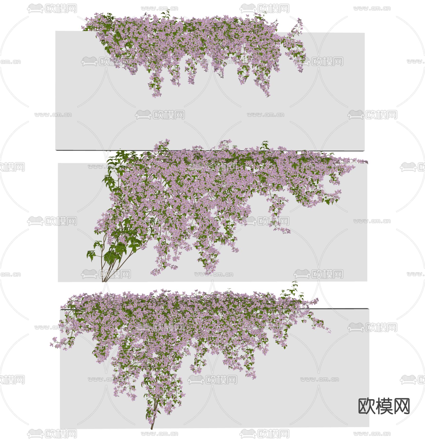 凤眼蓝藤蔓 绿植墙su模型
