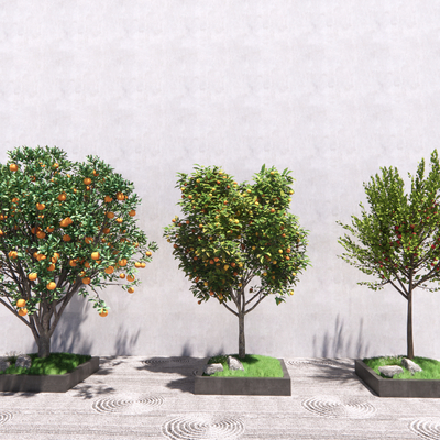  现代橘子树  柠檬树 桃子树su模型 