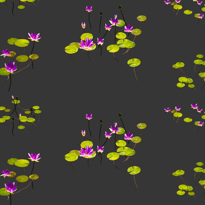  池塘莲花 荷叶 睡莲su模型 