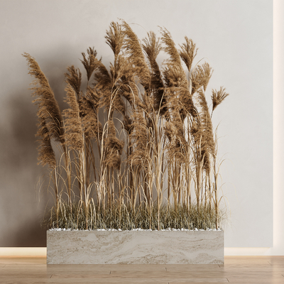  现代芦苇植物堆su模型 