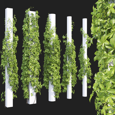  现代藤蔓su模型 