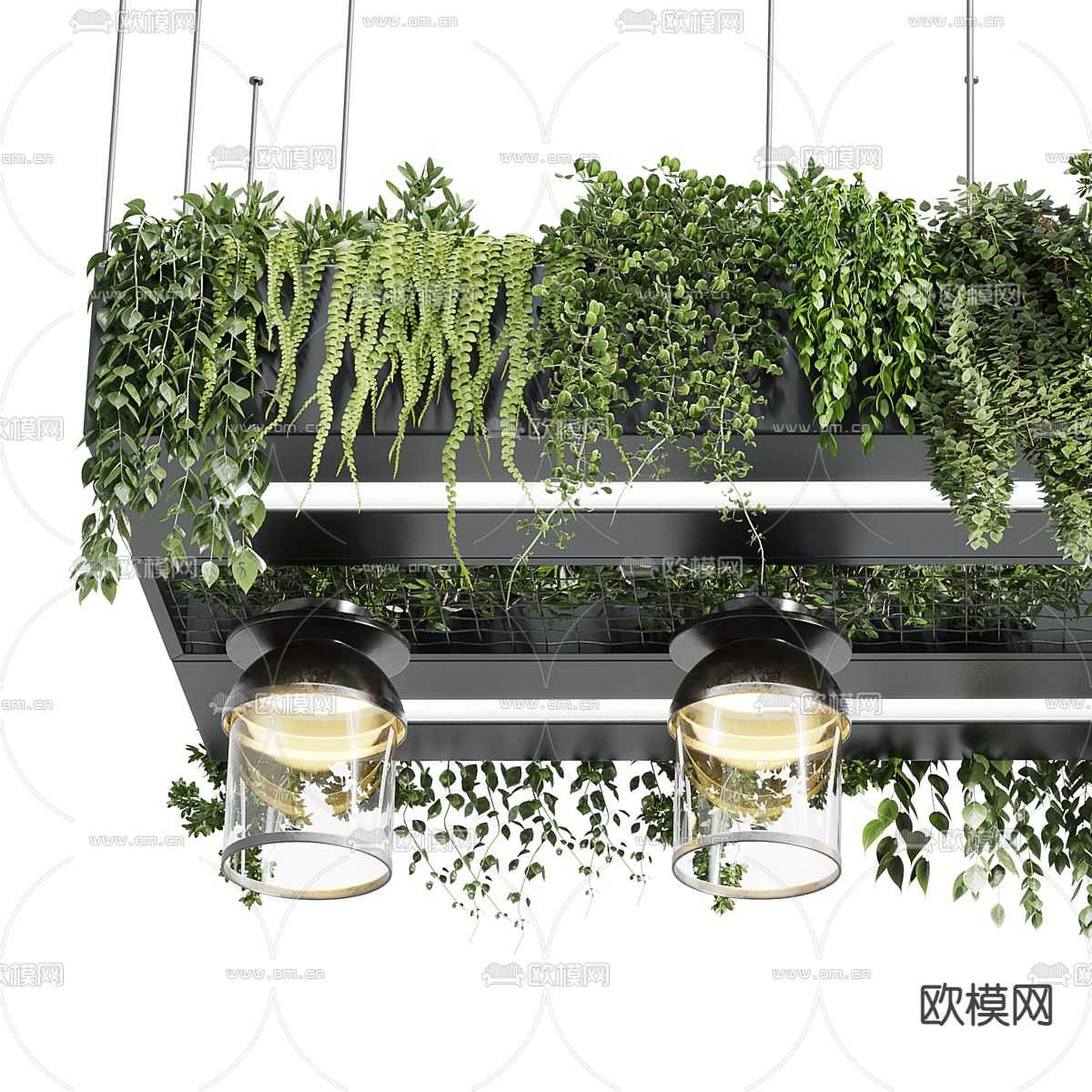 植物吊灯 吊篮3d模型下载（渲染图4）