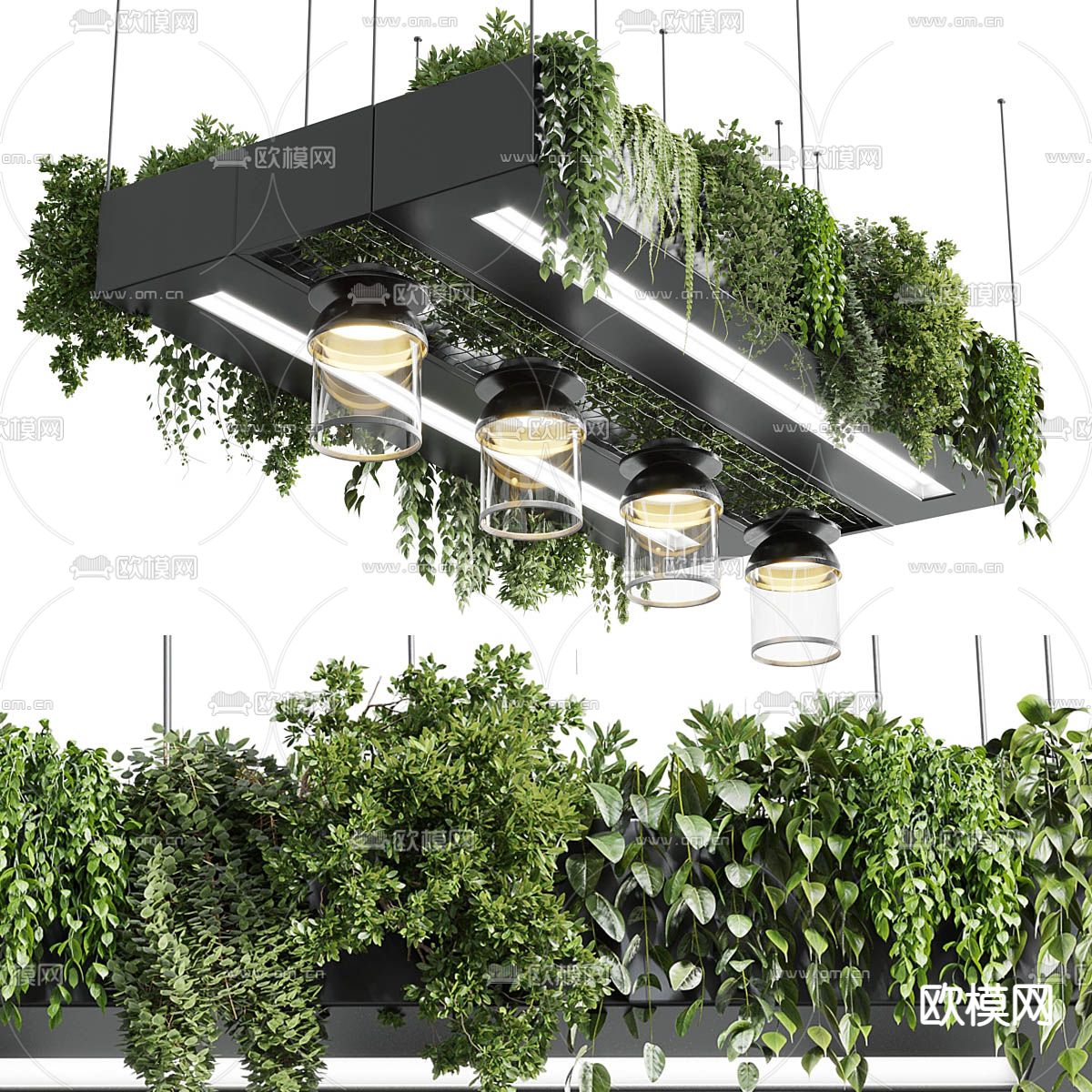 植物吊灯 吊篮3d模型下载（渲染图1）