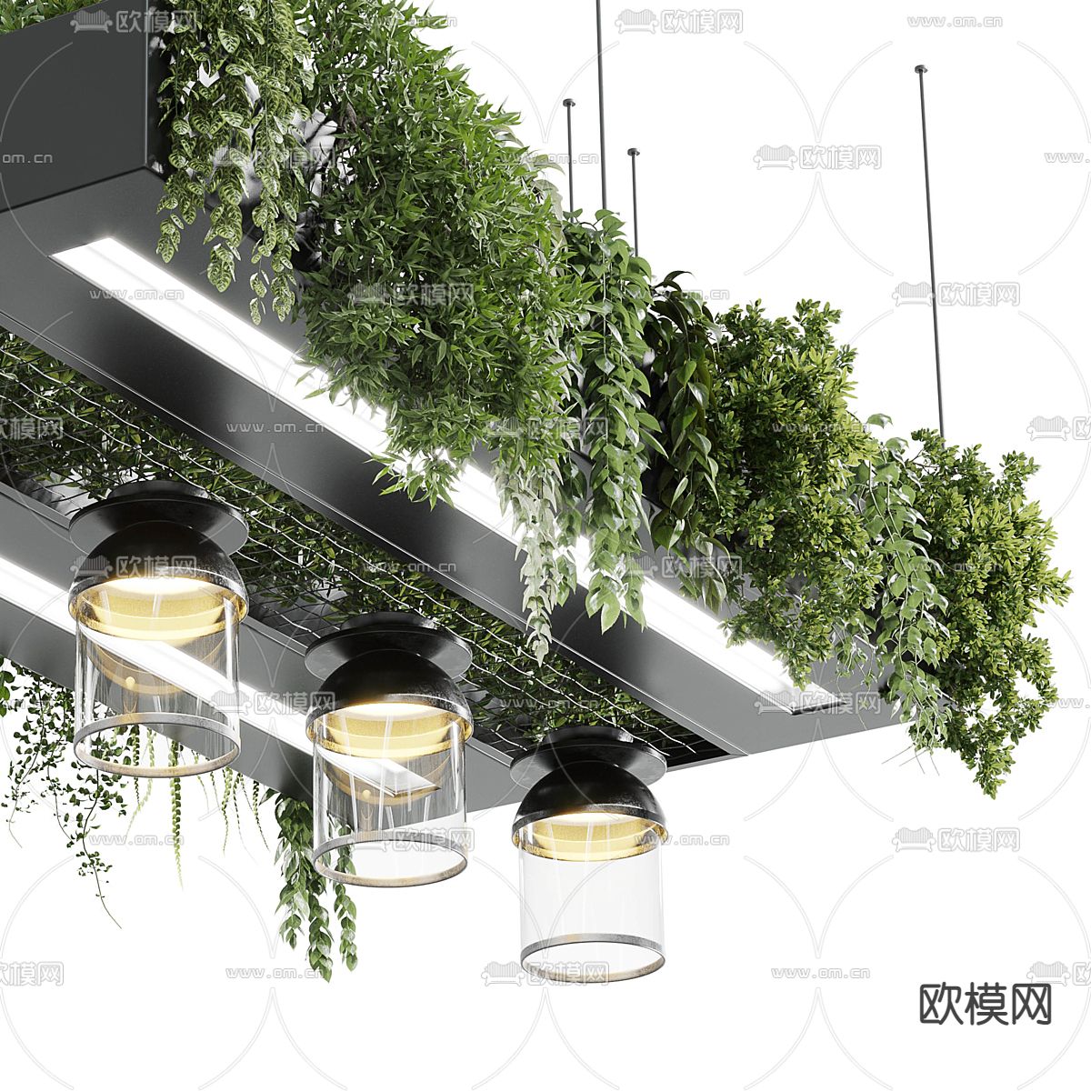 植物吊灯 吊篮3d模型下载（渲染图3）