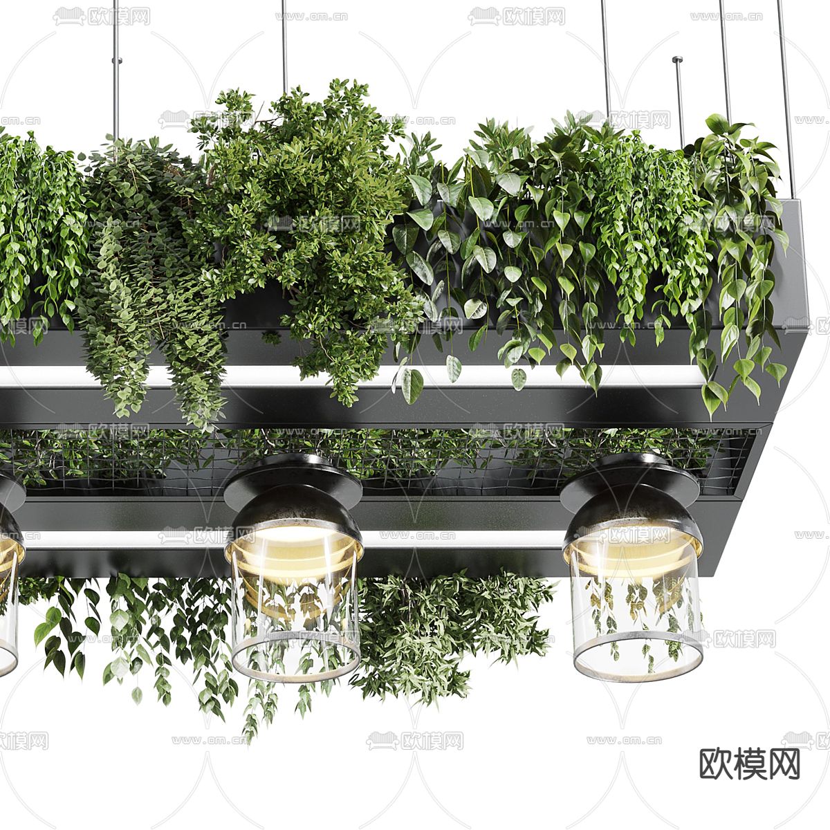 植物吊灯 吊篮3d模型下载（渲染图6）