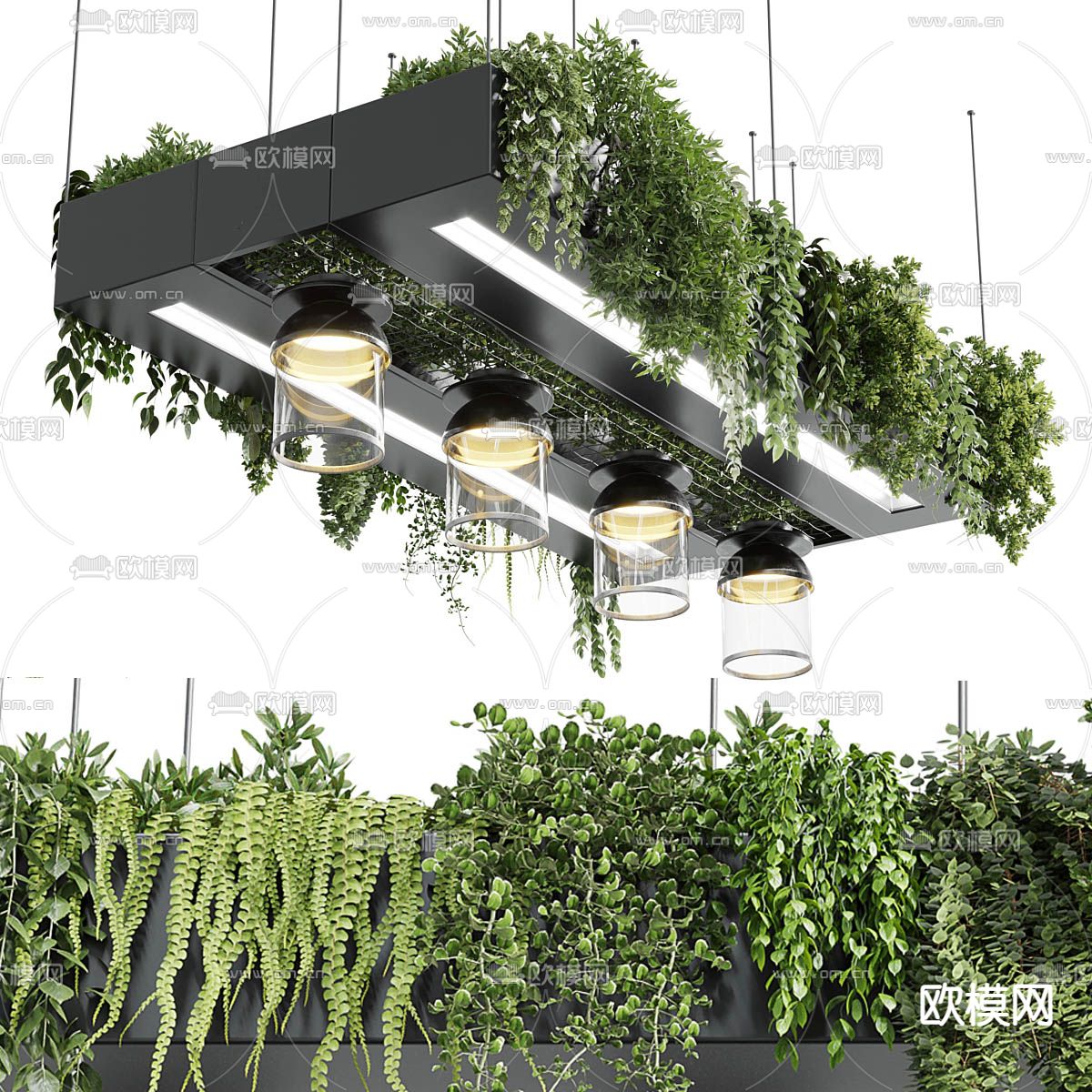植物吊灯 吊篮3d模型下载（渲染图2）