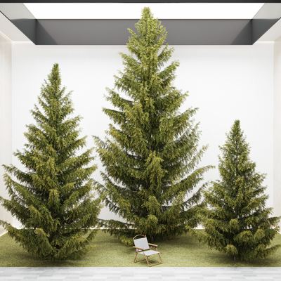  杉树 景观树 树木su模型 