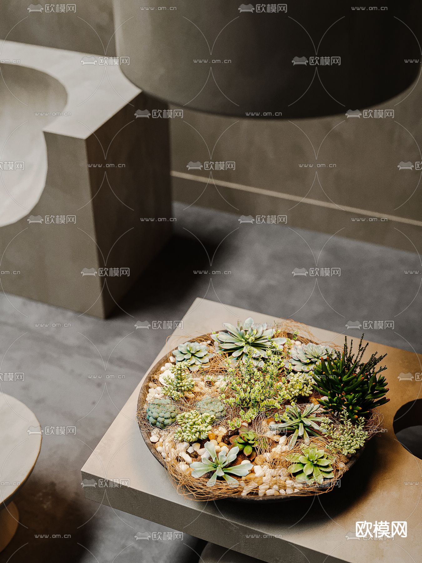 多肉盆栽 盆景3d模型