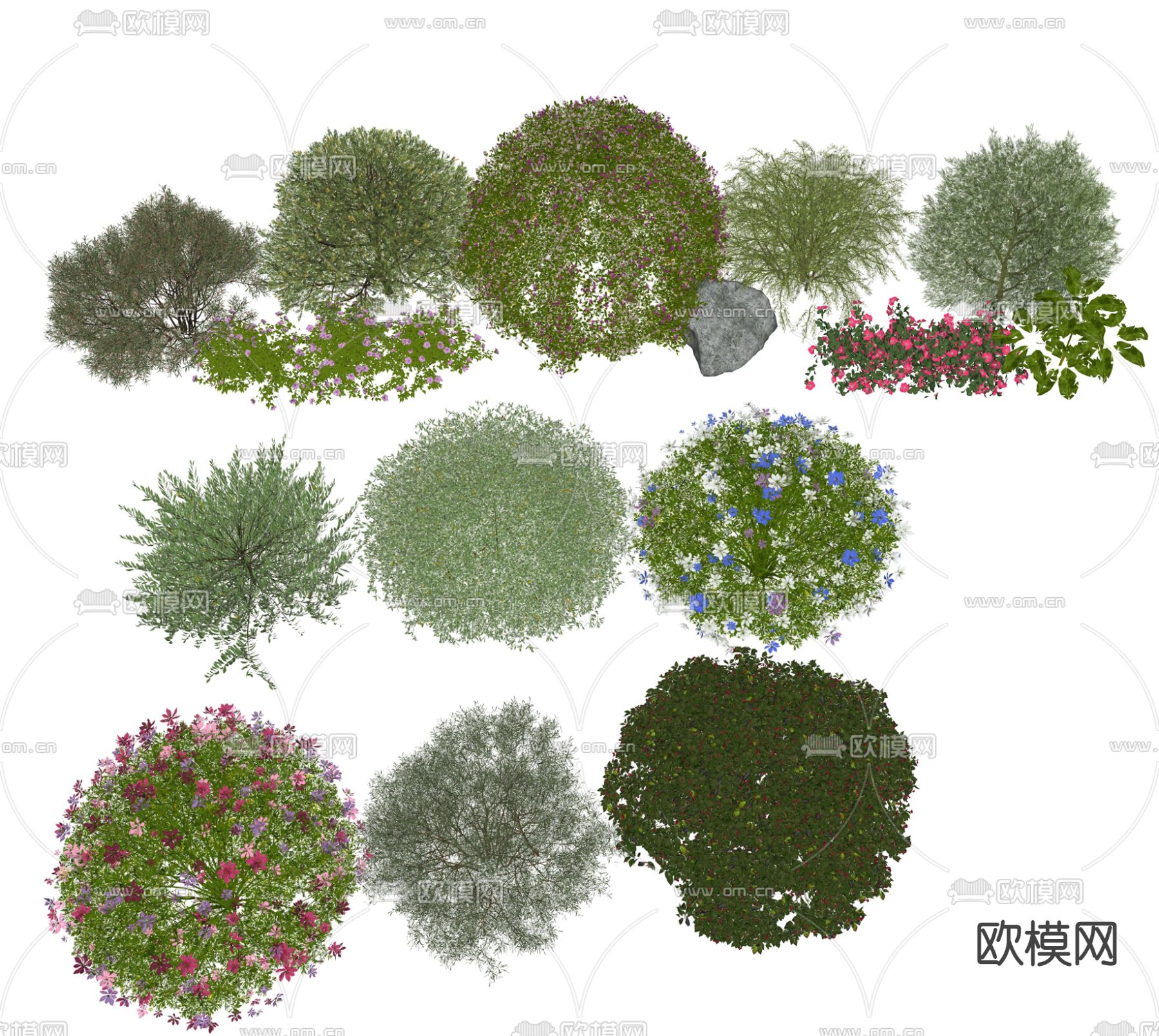 开花灌木 球形灌木su模型下载（渲染图2）