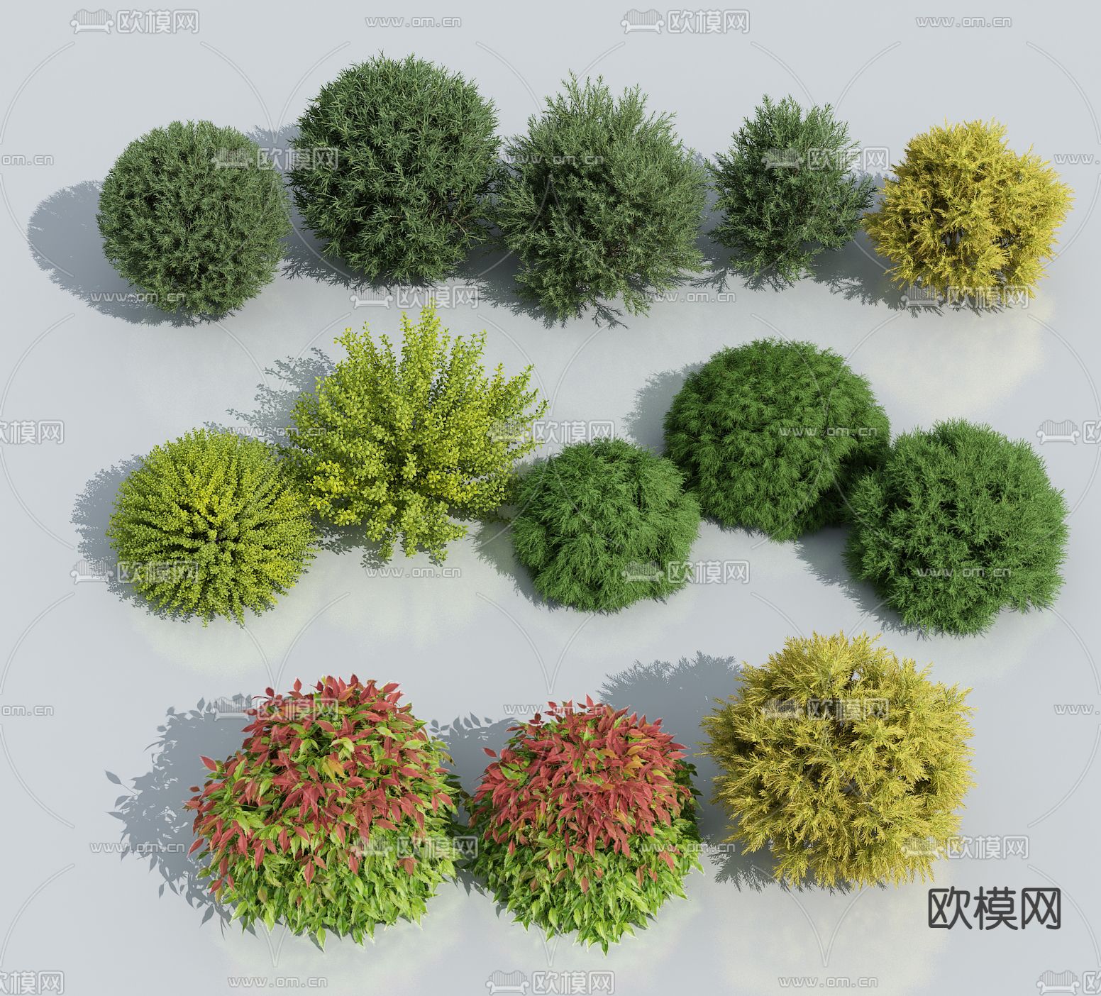 球形灌木su模型下载（渲染图1）