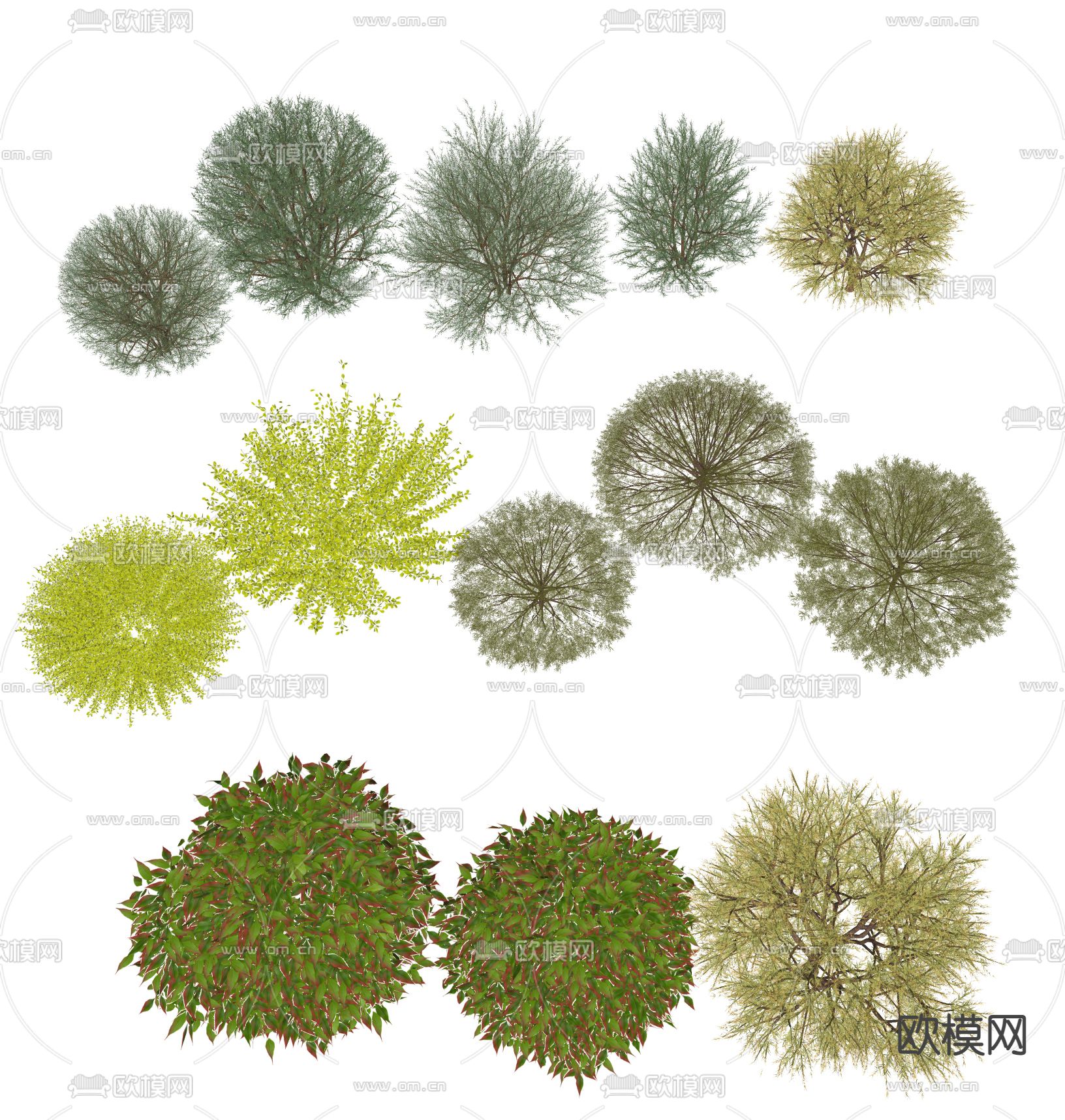 球形灌木su模型下载（渲染图2）