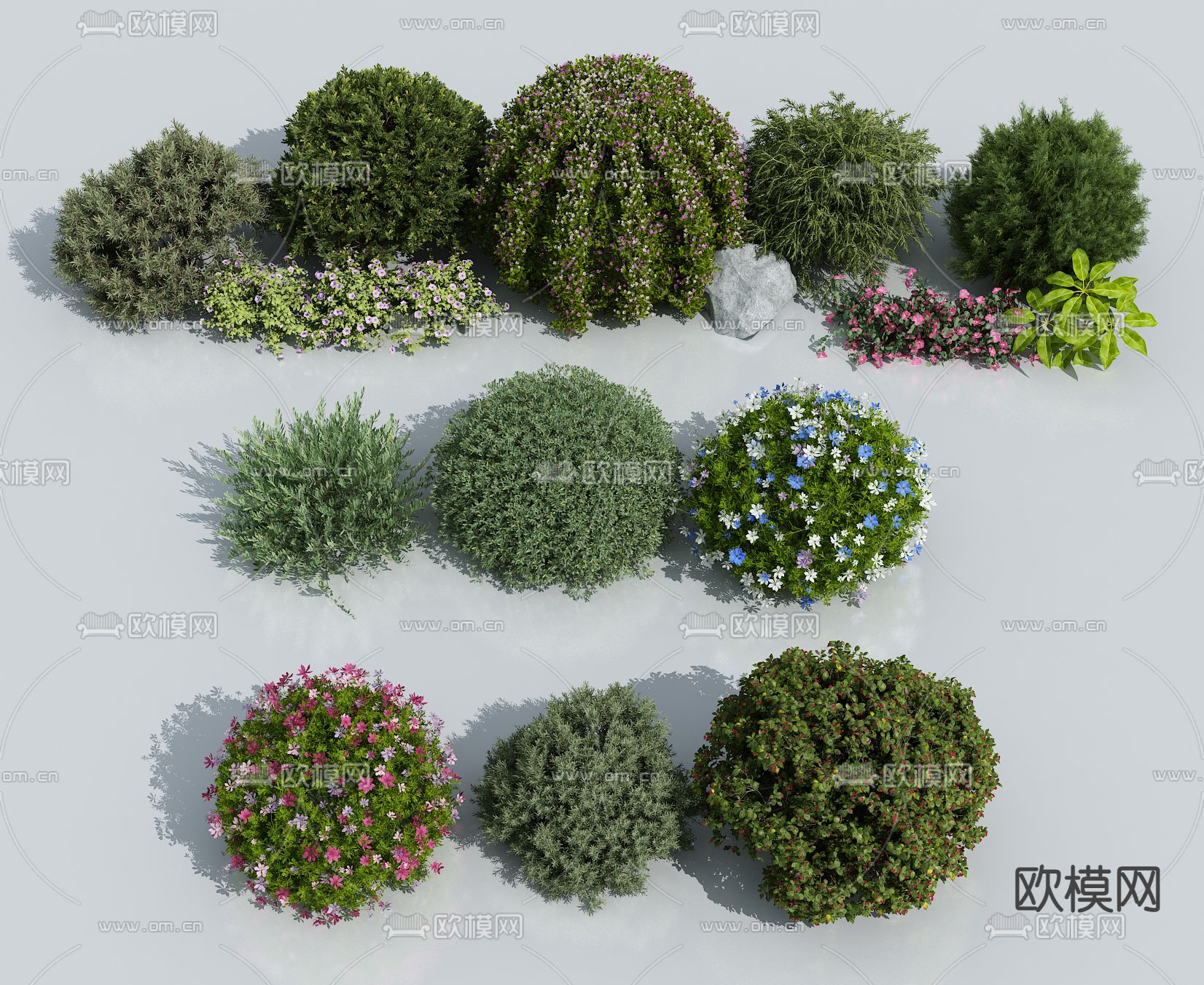 开花灌木 球形灌木su模型下载（渲染图1）