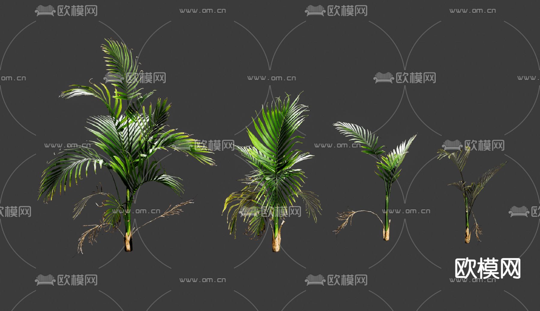 现代竹节椰散尾葵su模型下载_ID14097715_sketchup模型下载-欧模网