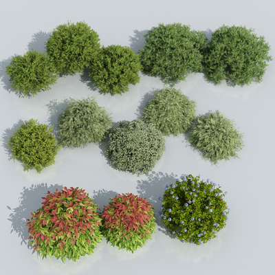  开花灌木 球形灌木su模型 