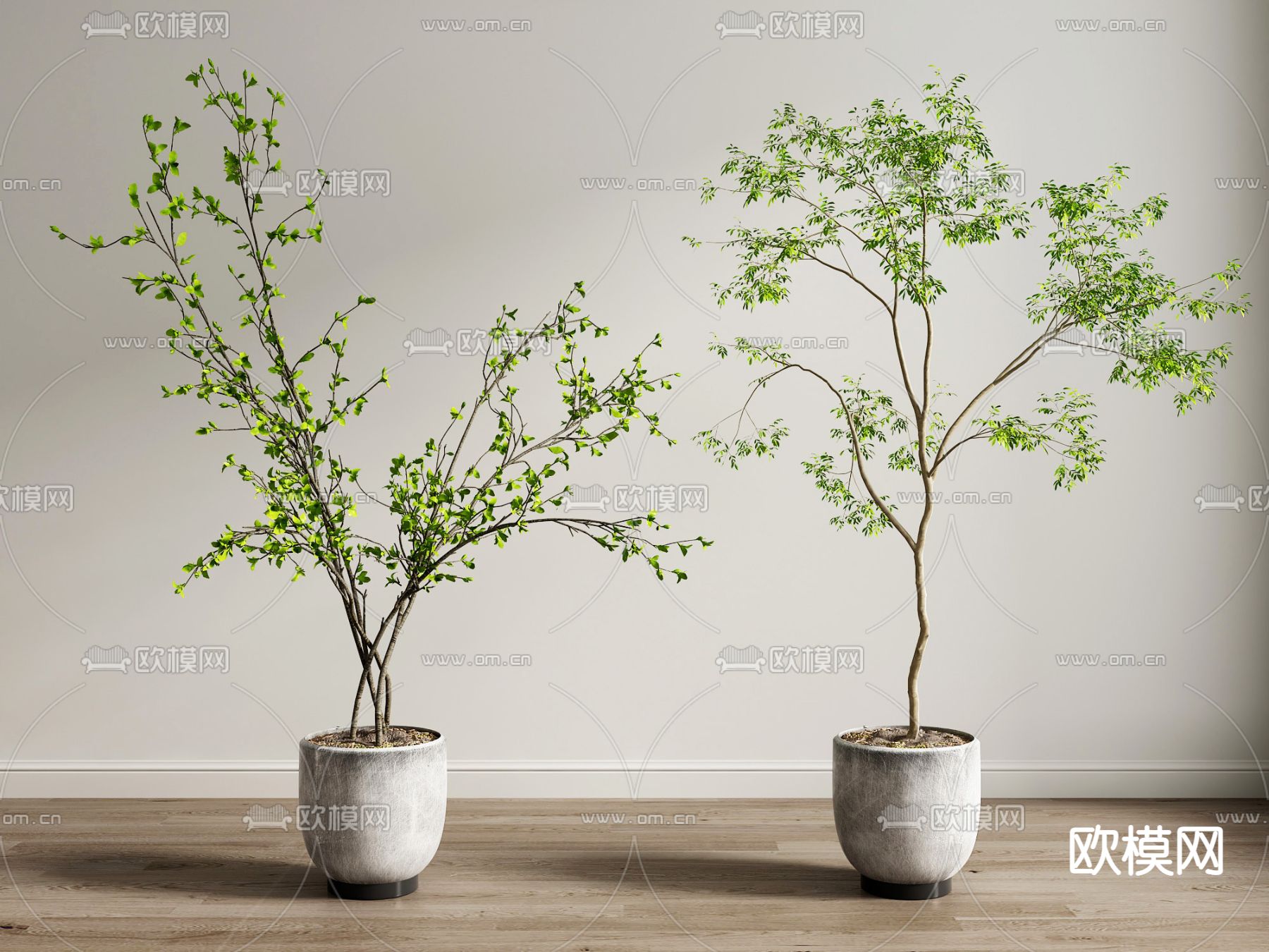 现代绿植盆栽su模型