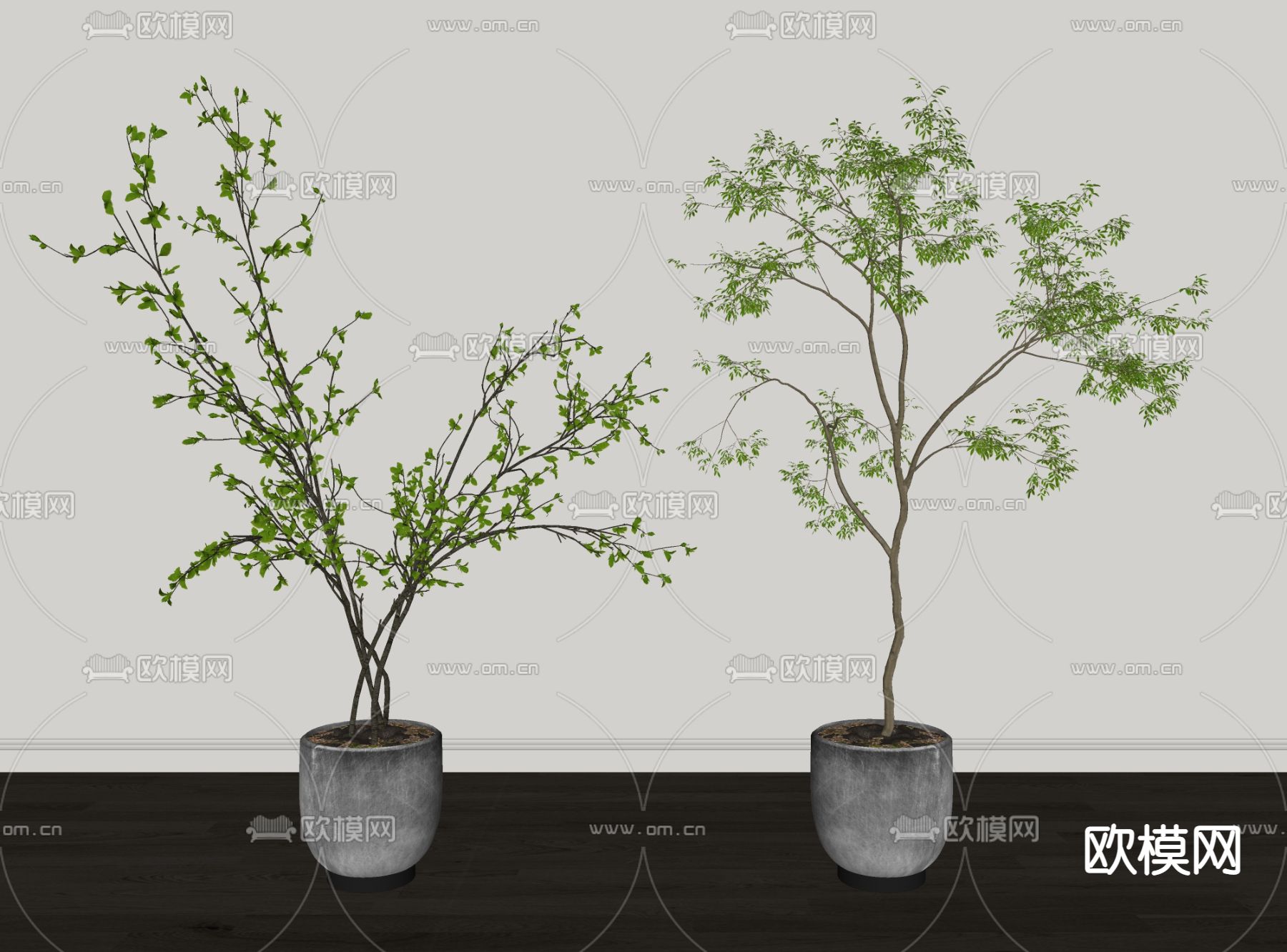 现代绿植盆栽su模型