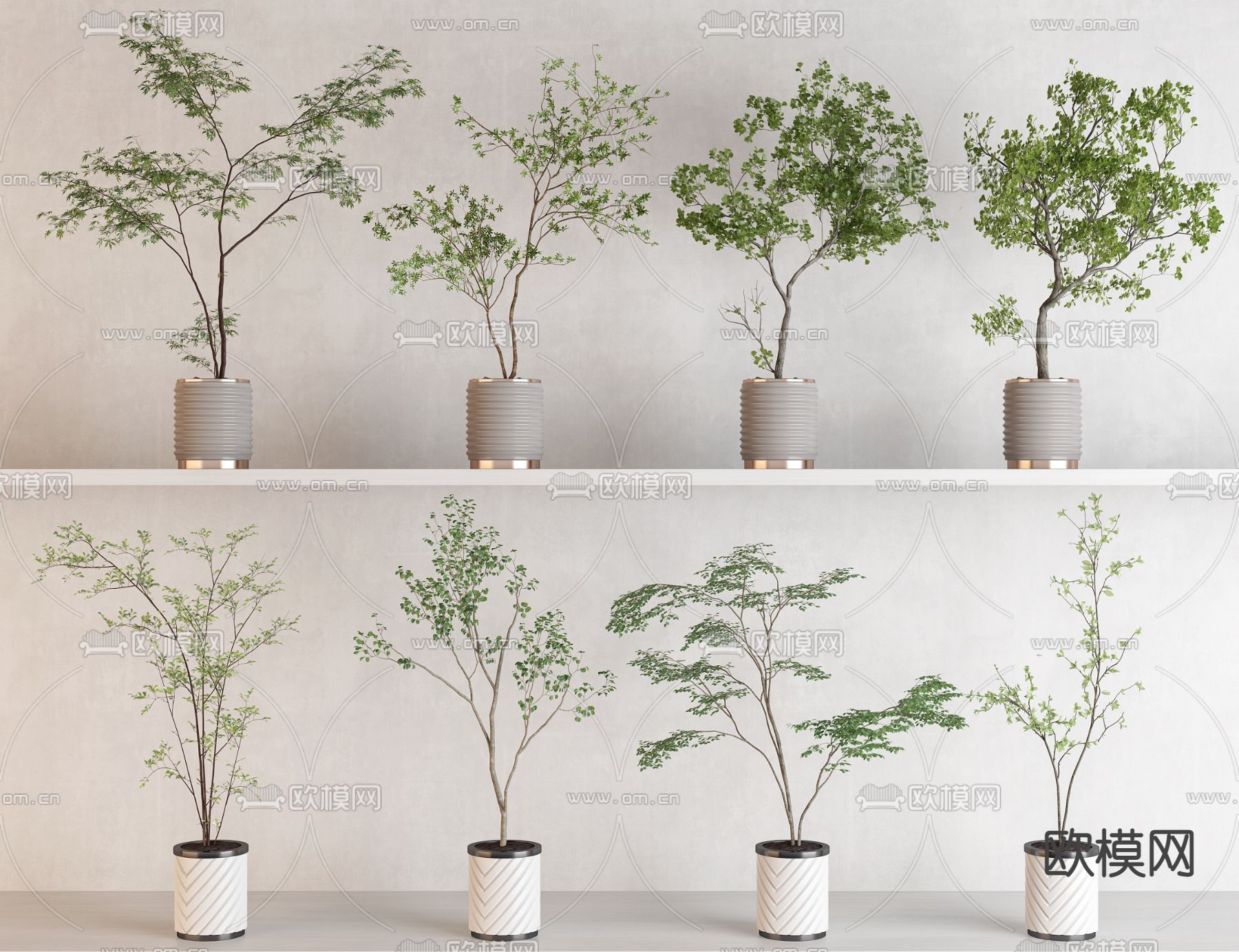 盆栽 盆景3d模型下载