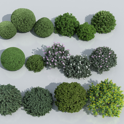  开花灌木 球形灌木su模型 