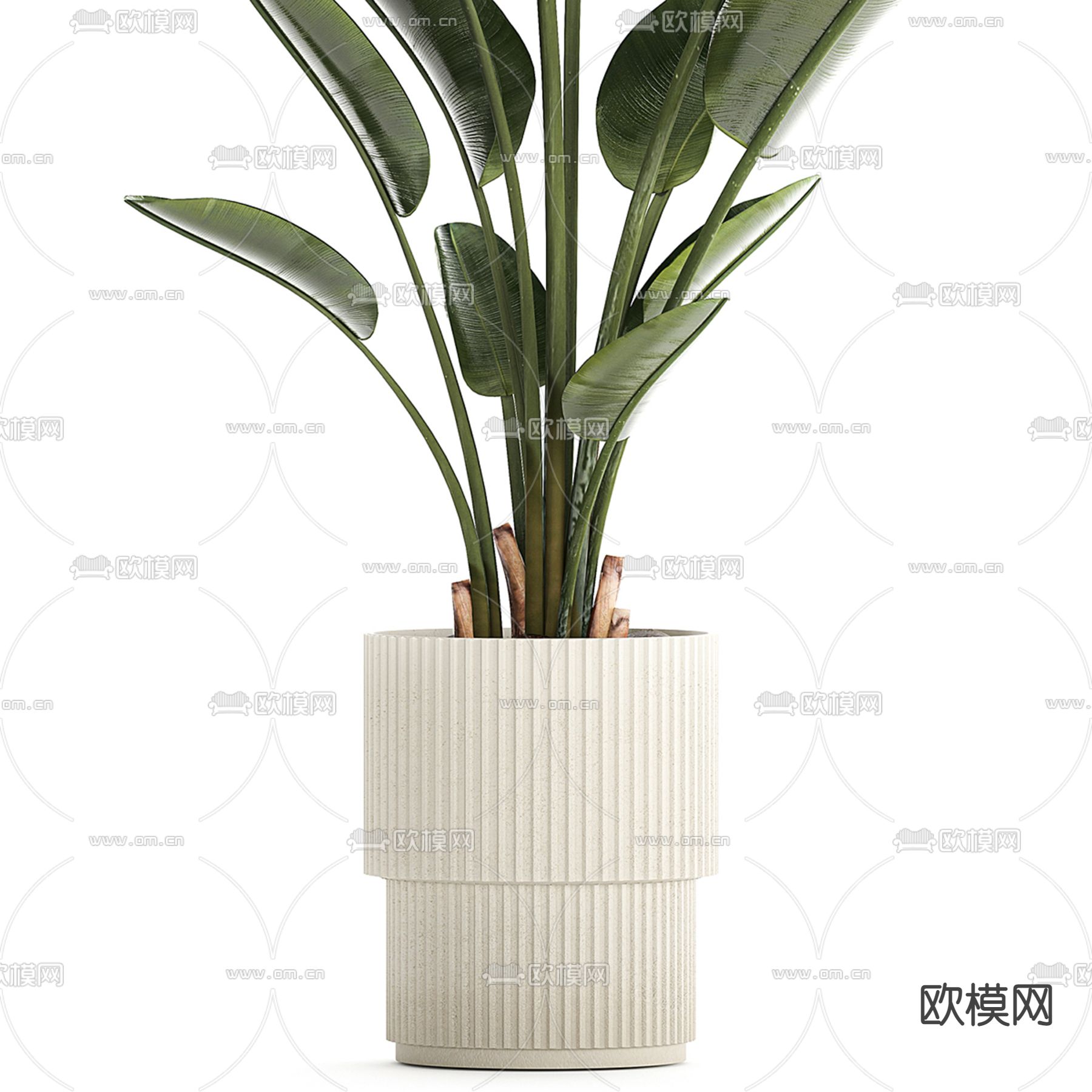 绿植盆栽 盆景3d模型下载（渲染图4）