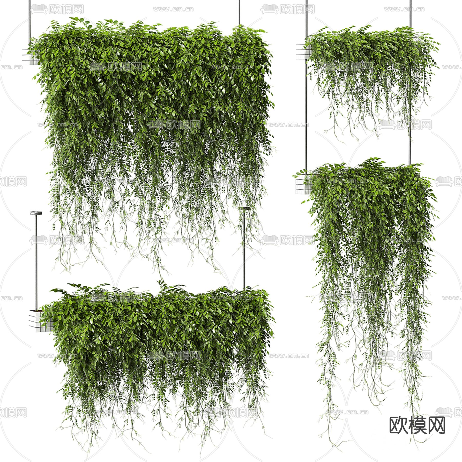 吊篮 藤蔓3d模型