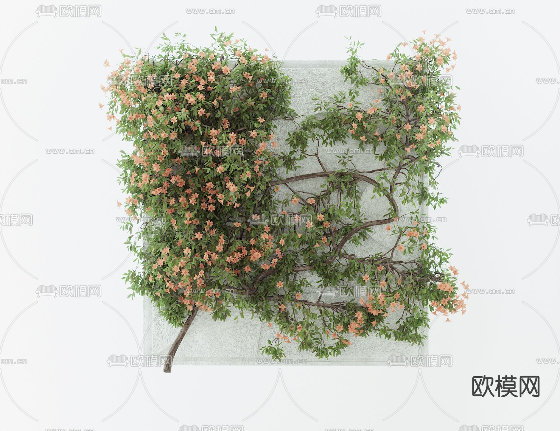 石榴花植物墙3d模型下载